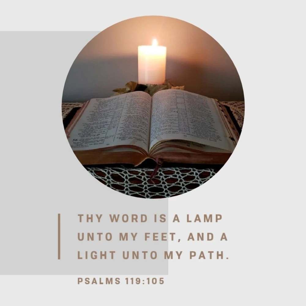 48427892_370902460350926_4460514422422503424_n