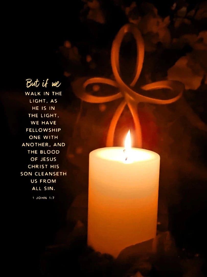 48429799_583624678728804_8396155069287890944_n