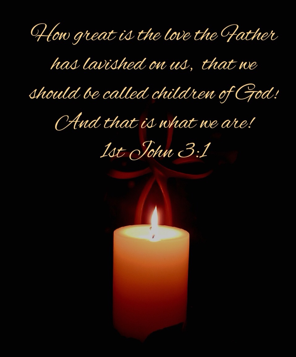 F15A12D3-0DF0-4348-936A-052499F420EF